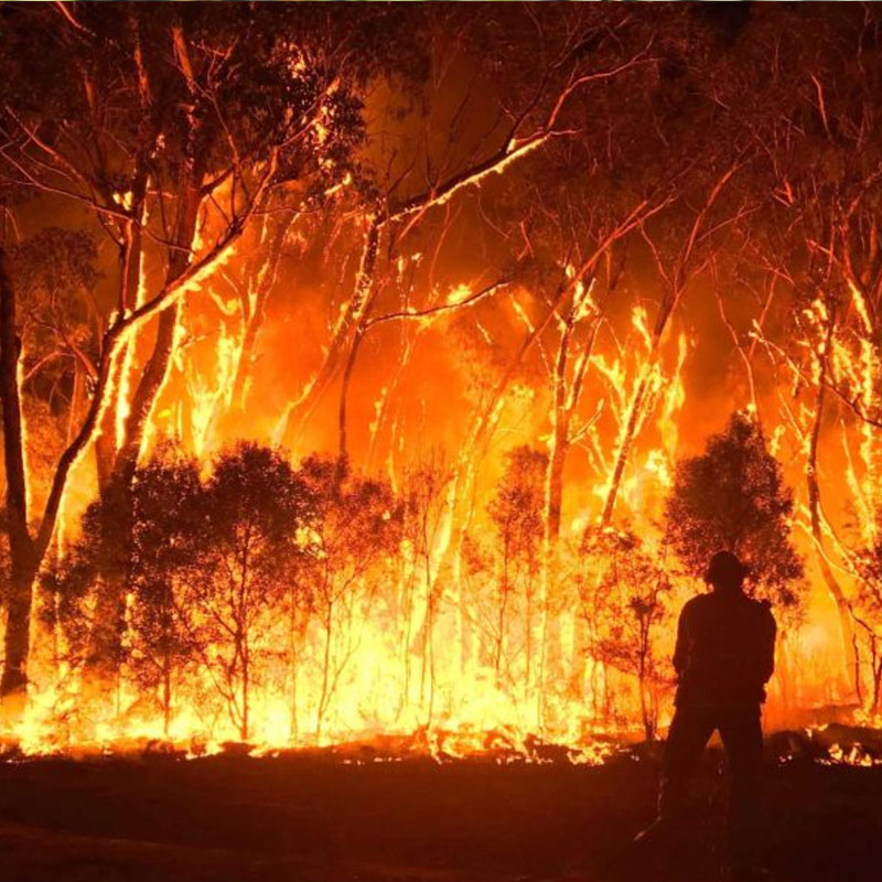 Bush fire zone fencing