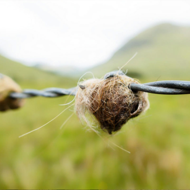 What Is A Woven Wire Fence?