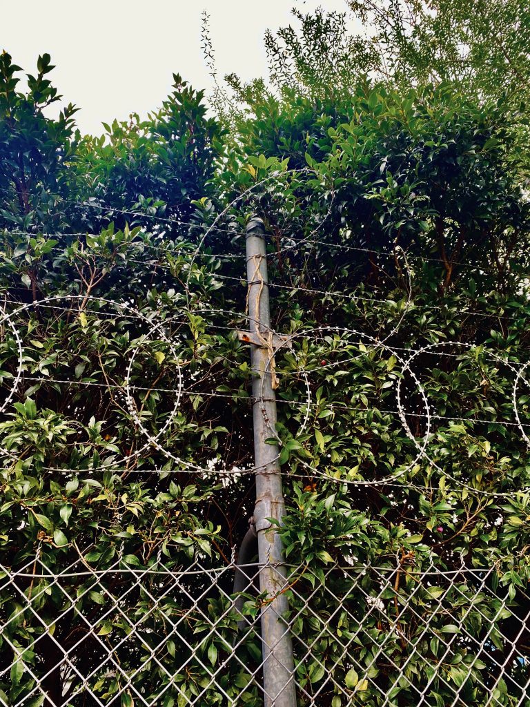 barbed wire in Melbourne