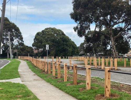 Urban Fencing for Local Wildlife in Melbourne